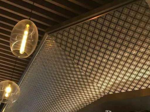 不鏽鋼吊頂（dǐng）